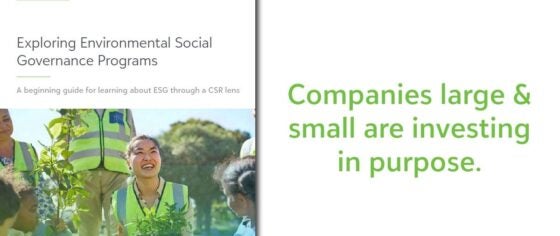 Companies large and small are investing in purpose banner