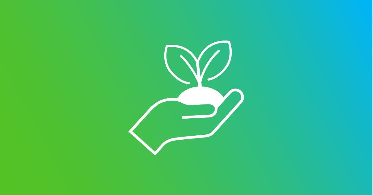 a hand holding a growing plant icon