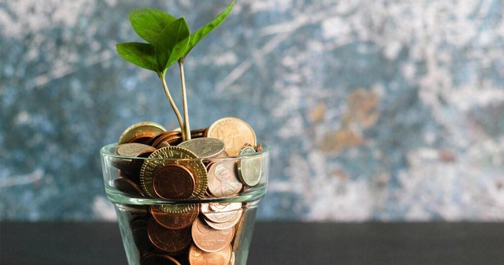 a cup of coins growing a plant from them